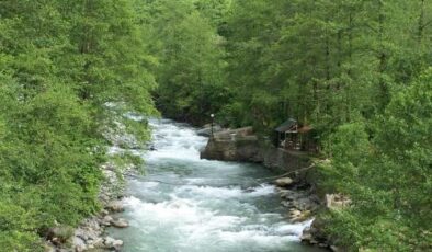 Abu’da Neler Oluyor?