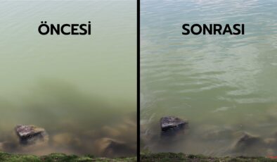 Ankara göllerinin yeni temizlik ustaları mikroorganizmalar