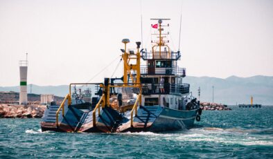 Endüstriyel avcılık balık stoklarını vurdu