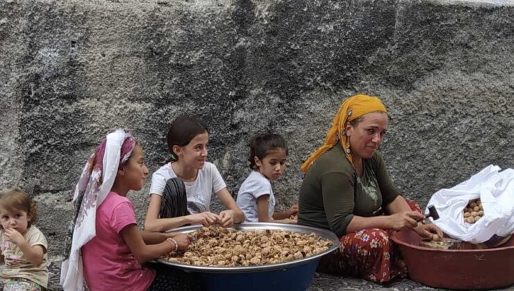 Gaziantepli fıstık kıran kadınlar, emeklerinin karşılığını alamamaktan şikâyetçi