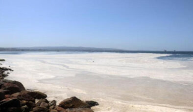 Hidrobiyolog Artüz: Marmara senelerdir arıtma tesisinin çökertme havuzu olarak kullanıldı