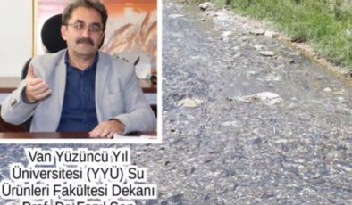 “İNCİ KEFALİ, yumurtlama döneminde uygun yer bulamıyor”