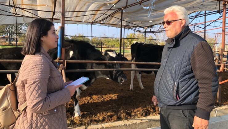 Krizdeki süt üreticileri ineklerini kesiyor