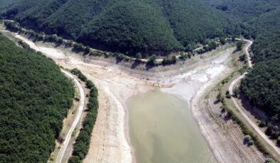 “Mega Projeler” Kuzey Ormanlarını Tehdit Ediyor