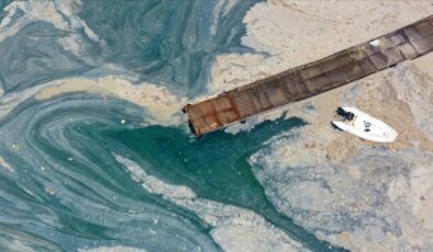 ‘Müsilaj temizlenmezse sahile bile gidemeyeceğiz’