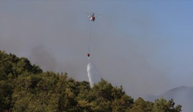 Ormancılar Derneği Akdeniz Şube Başkanı Neyişçi:Öncelikle orman yangınları engellemeye yönelik tedbirleri uygulamak gerekir