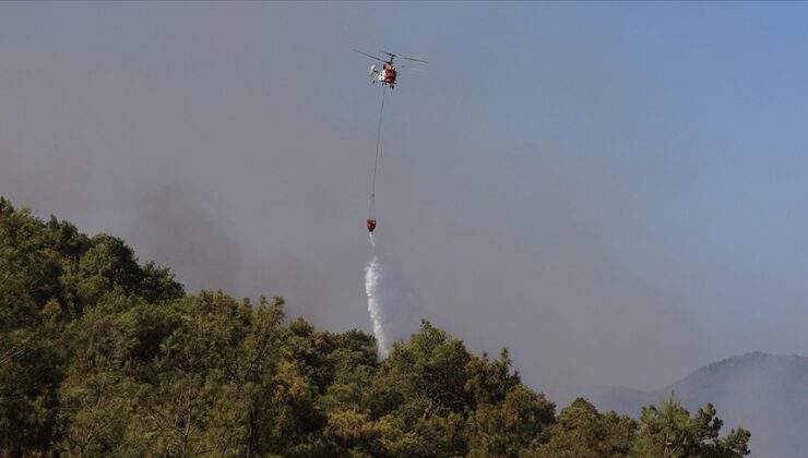 Ormancılar Derneği Akdeniz Şube Başkanı Neyişçi:Öncelikle orman yangınları engellemeye yönelik tedbirleri uygulamak gerekir