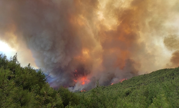 UNESCO korumasındaki Amanoslar neden yanıyor?