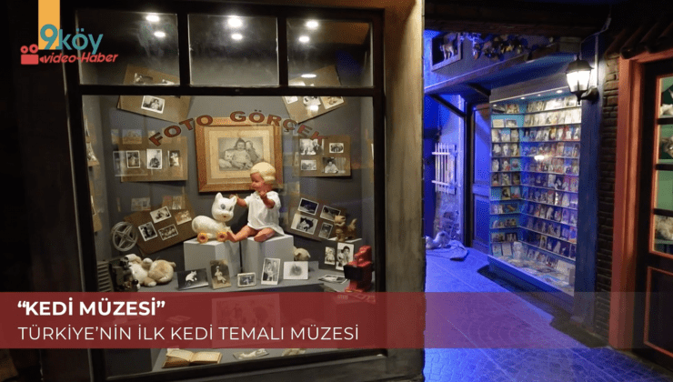 Türkiye’nin ilk kedi temalı müzesi Beşiktaş’ta ziyaretçilerini ağırlıyor
