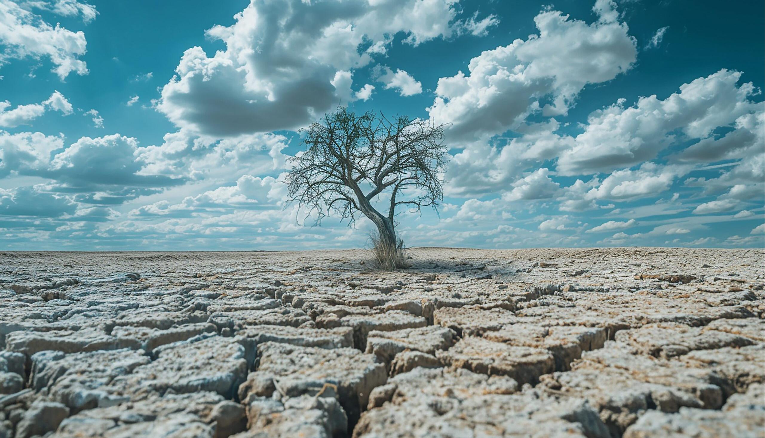 Uzmanların iklim krizi tarifi: “Yok oluşa doğru gidiyoruz”