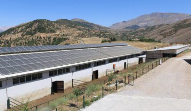 Mimarlığı bırakıp besiciliğe başladı