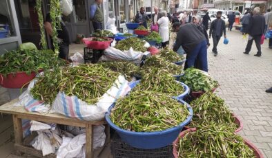 Şifalı bitkiler: Talep çok ama alan yok