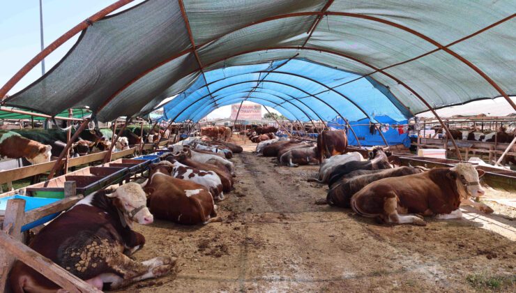 Enflasyon “kurban” kavramını değiştirdi: 1 milyona yakın yurttaş ibadetini “vekâletle” yaptı