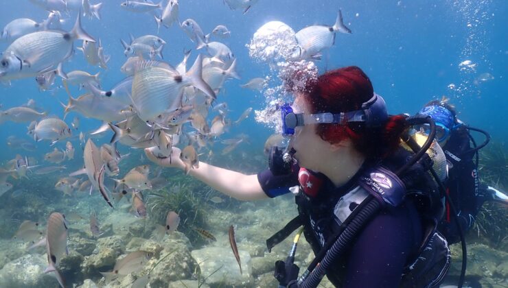 Dalış turizmi vurgun tehlikesiyle karşı karşıya