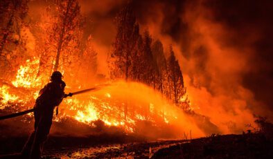 Yangınlar kırsal yaşamı da kül ediyor