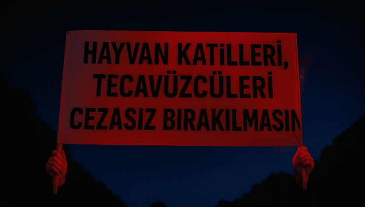 Hayvan hakkı ihlalleri cezasız kalıyor: Vakalar artıyor, failler cesaretleniyor