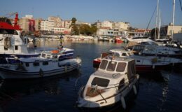 Göç eden balıklar, istilacı türler ve kirlilik: Balıklar yuva arıyor