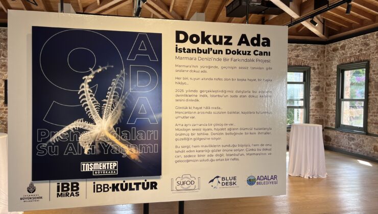 İstanbul’un Dokuz Canı: Prens Adaları’nın can çekişen ekosistemi sergileniyor