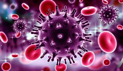 Türkiye’de HIV/AIDS gerçeği: Büyük şehirlerden sınırlara artan vakalar