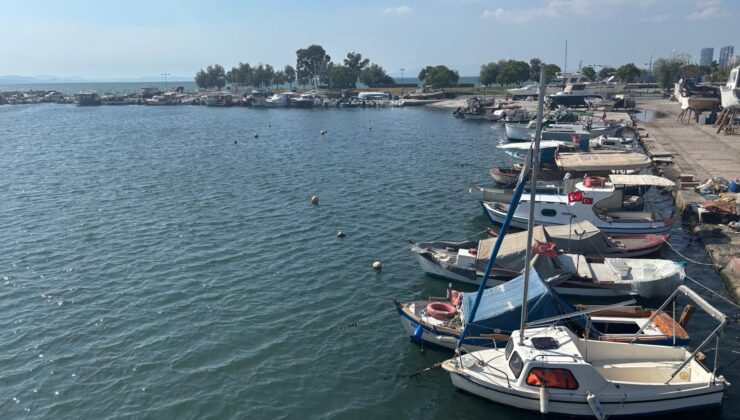 İzmir Körfezi alarm veriyor: Acil önlem alınmazsa körfezin geri dönüşü yok!