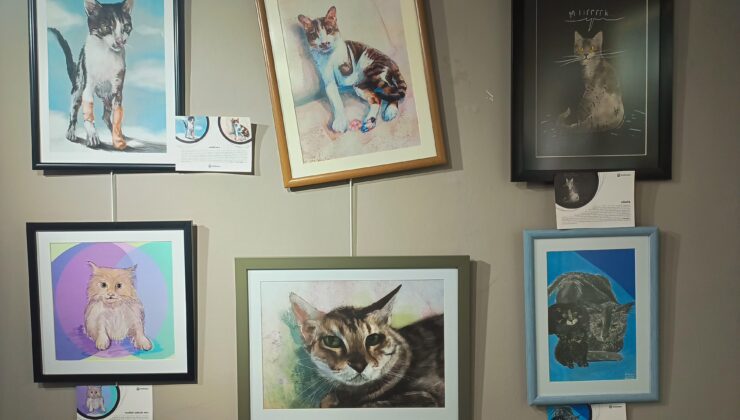 Tuvalde dayanışma, sokakta mücadele: “Patili Sergi”