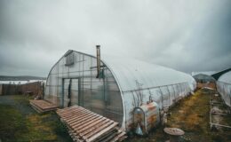 Seracı kadınların çifte mesaisi