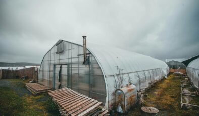 Seracı kadınların çifte mesaisi