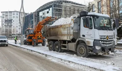 Van’da kar suları Sıhke Gölü’nü tehdit ediyor