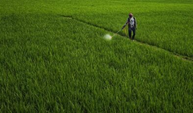 Pestisit krizi bitmiyor, çare biyolojik mücadele