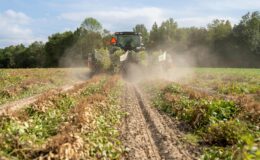 Çiftçiye kredi verilmemesi tarımsal üretimi nasıl etkiler?