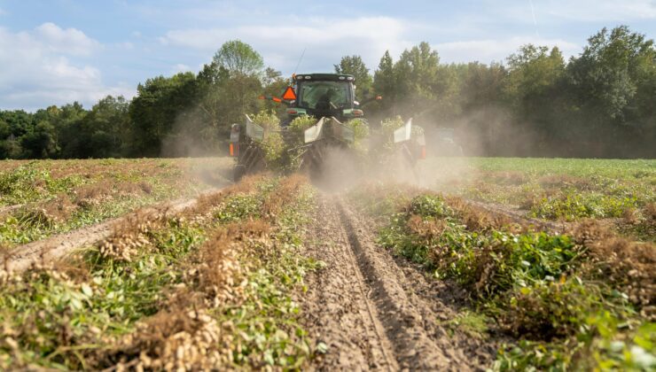 Çiftçiye kredi verilmemesi tarımsal üretimi nasıl etkiler?
