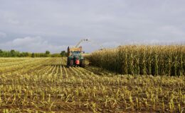 Tarımın gizli bankası: Zirai ilaç veresiye defteri