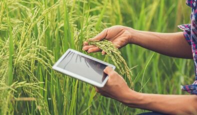 Genç çiftçiler tarımı dijitalle dönüştürüyor