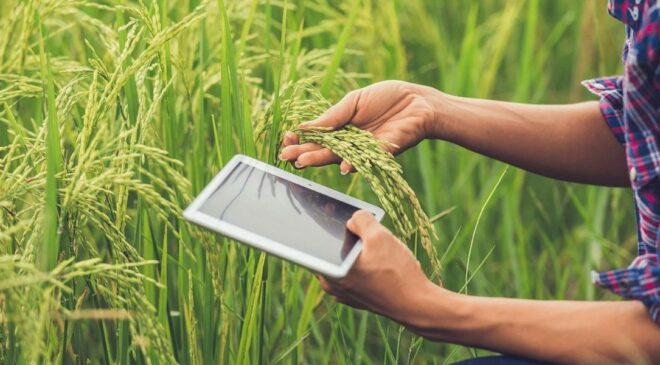 Genç çiftçiler tarımı dijitalle dönüştürüyor