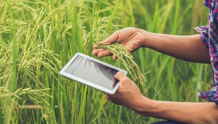 Genç çiftçiler tarımı dijitalle dönüştürüyor