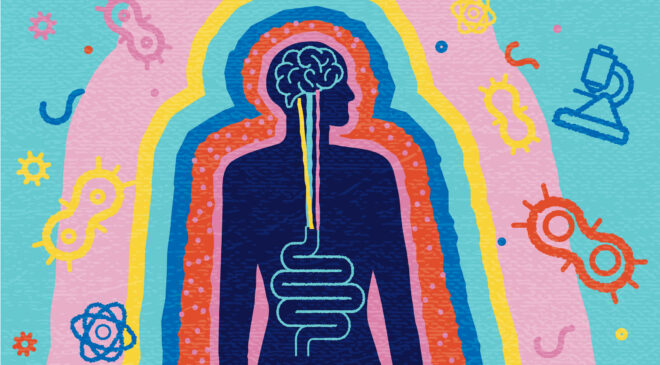 Vücudun sessiz komuta merkezi: Bağırsak neden ikinci beyin sayılıyor?