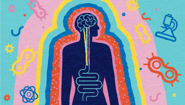 Vücudun sessiz komuta merkezi: Bağırsak neden ikinci beyin sayılıyor?