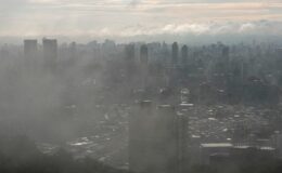 Temiz hava hakkı bir ayrıcalık mı? Kentlerde eşitsizlik derinleşiyor