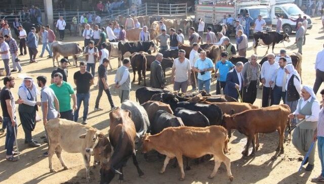 Diyarbakır’da besici bayram gününü bekliyor