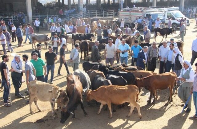Diyarbakır’da besici bayram gününü bekliyor