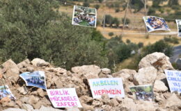 Ekoloji mücadelesinin ekonomik yükü de çok ağır