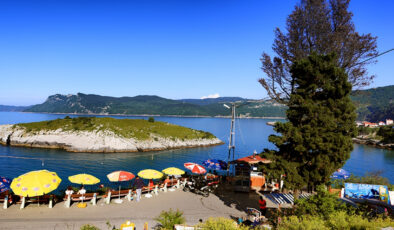 Amasra’nın asırlardır “ağlayan ağacı” kesildi