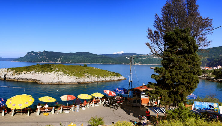 Amasra’nın asırlardır “ağlayan ağacı” kesildi