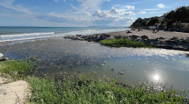 Tekirdağ plajlarında kanalizasyon iddiası inceleniyor
