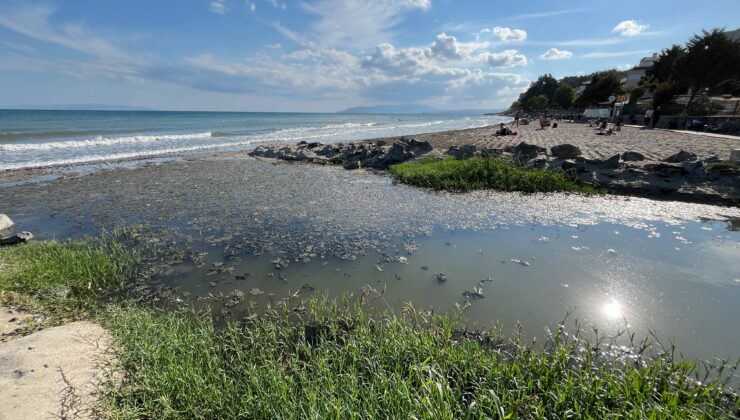 Tekirdağ plajlarında kanalizasyon iddiası inceleniyor
