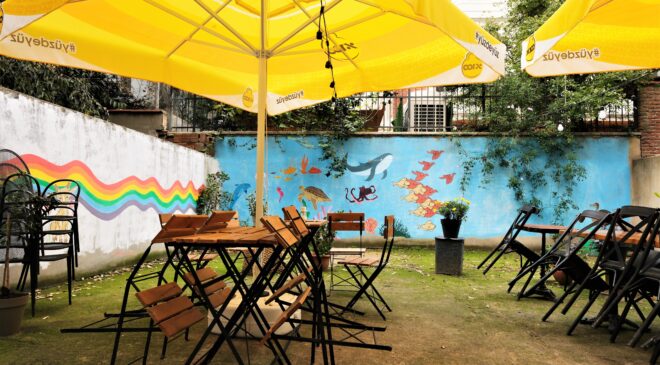 Onlarca sokak hayvanına destek olan vegan kafe, 30’dan fazla kişiyi veganlıkla tanıştırdı